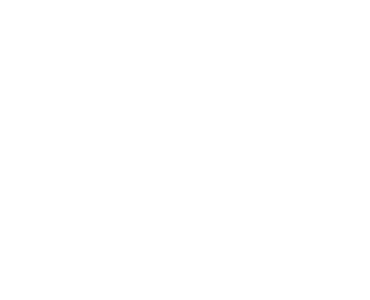 onepay